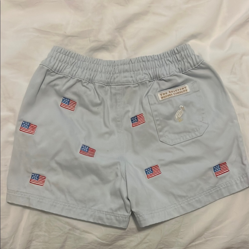 Light Blue Shorts with American Flag Embroidery - Picture 2 of 4